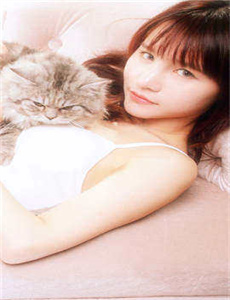 日本阿v免费观看网站/国产50岁熟妇露脸