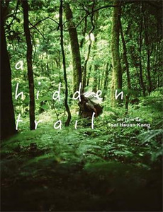 小偷家伙,小偷骗子