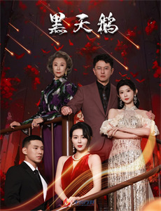 卡片战斗先导者 第三季