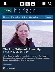 爱的契约锦衣卫