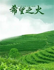 日本列岛美丽生灵物语