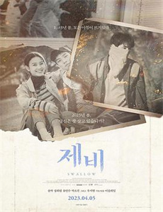 东海霸王:巨型章鱼