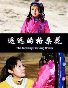 我知道你的秘密2019